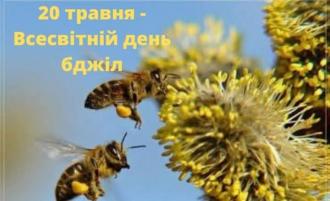 /Files/images/бдж.jpg